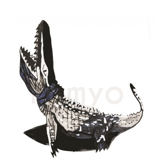 artwork-crocodile-black-white-rishit
